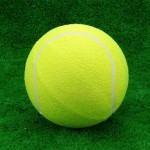 Мяч для большого тенниса самый дешёвый s-dostavka - магазин СпортДоставка. Спортивные товары интернет магазин в Энгельсе 