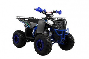 Квадроцикл Wels ATV THUNDER EVO 125 s-dostavka Серый - магазин СпортДоставка. Спортивные товары интернет магазин в Энгельсе 